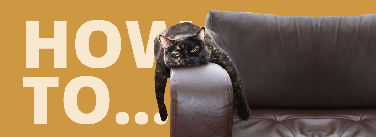 9 Simple Quarantine Rules to Follow While Social Distancing