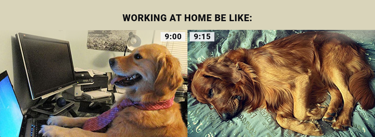 Google Encourages Employees  to Work from Home Because of Coronavirus Concerns