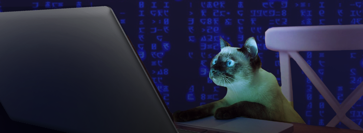 Does Your VPN Encrypt DNS Queries? A Manual for Dummies