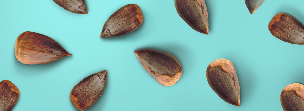 People Around the World Are Receiving Mysterious Parcels With Seeds They Didn’t Order