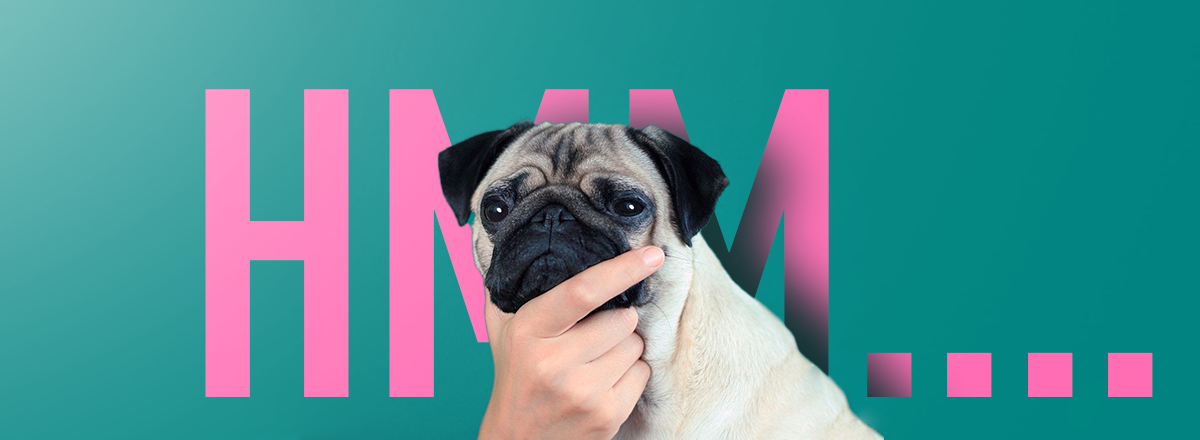 Here's What You Need to Write About Yourself on Tinder