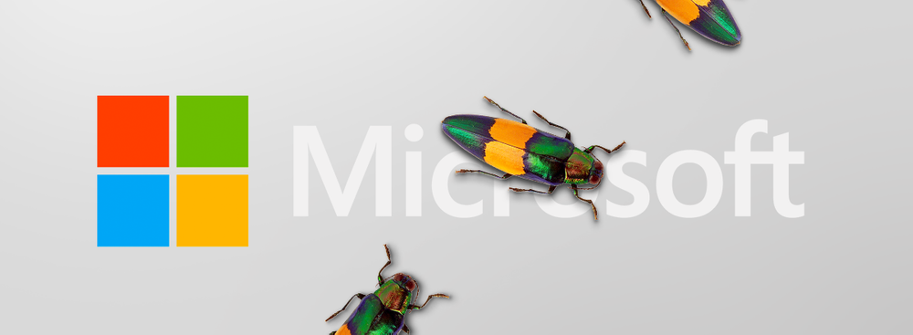 More Than 60 Thousand Organizations Were Hacked Due to Microsoft Software Vulnerability