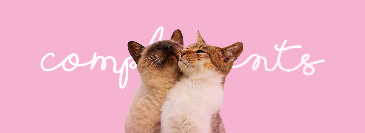 What Is Today? World Compliment Day