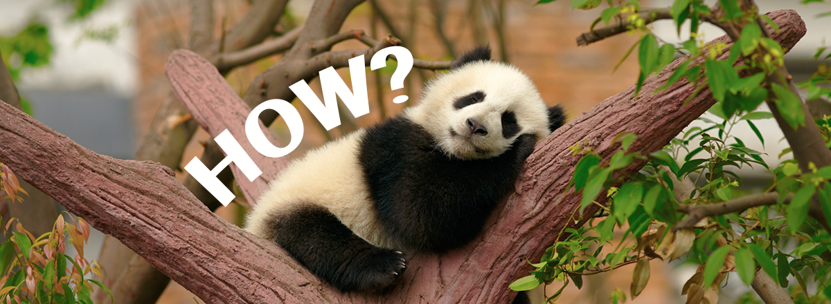 How to Fall Asleep Fast: Tips and Tricks From Sleep Doctors