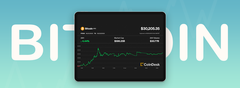 Bitcoin Price Hits $30, 000 for the First Time in Months