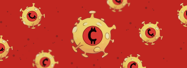 CoronaCoin Is the New Cryptocurrency That Directly Depends on the Mortality from Coronavirus