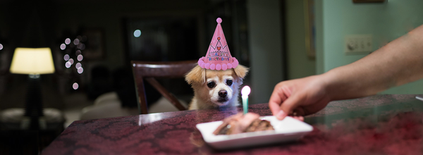 How to Celebrate a Birthday in Quarantine