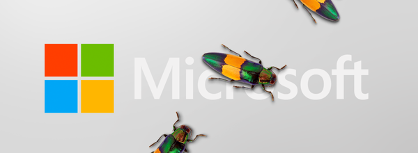 More Than 60 Thousand Organizations Were Hacked Due to Microsoft Software Vulnerability